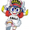 T-SHIRT ARALE